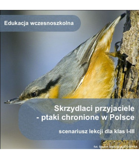 Skrzydlaci przyjaciele - ptaki chronione w Polsce